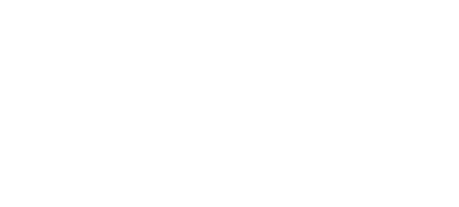 Pintucor · Pintores profesionales